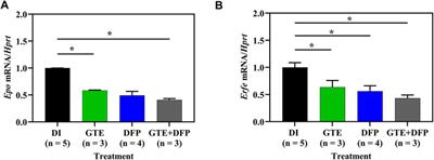 Effects of green tea extract treatment on erythropoiesis and iron parameters in iron-overloaded β-thalassemic mice